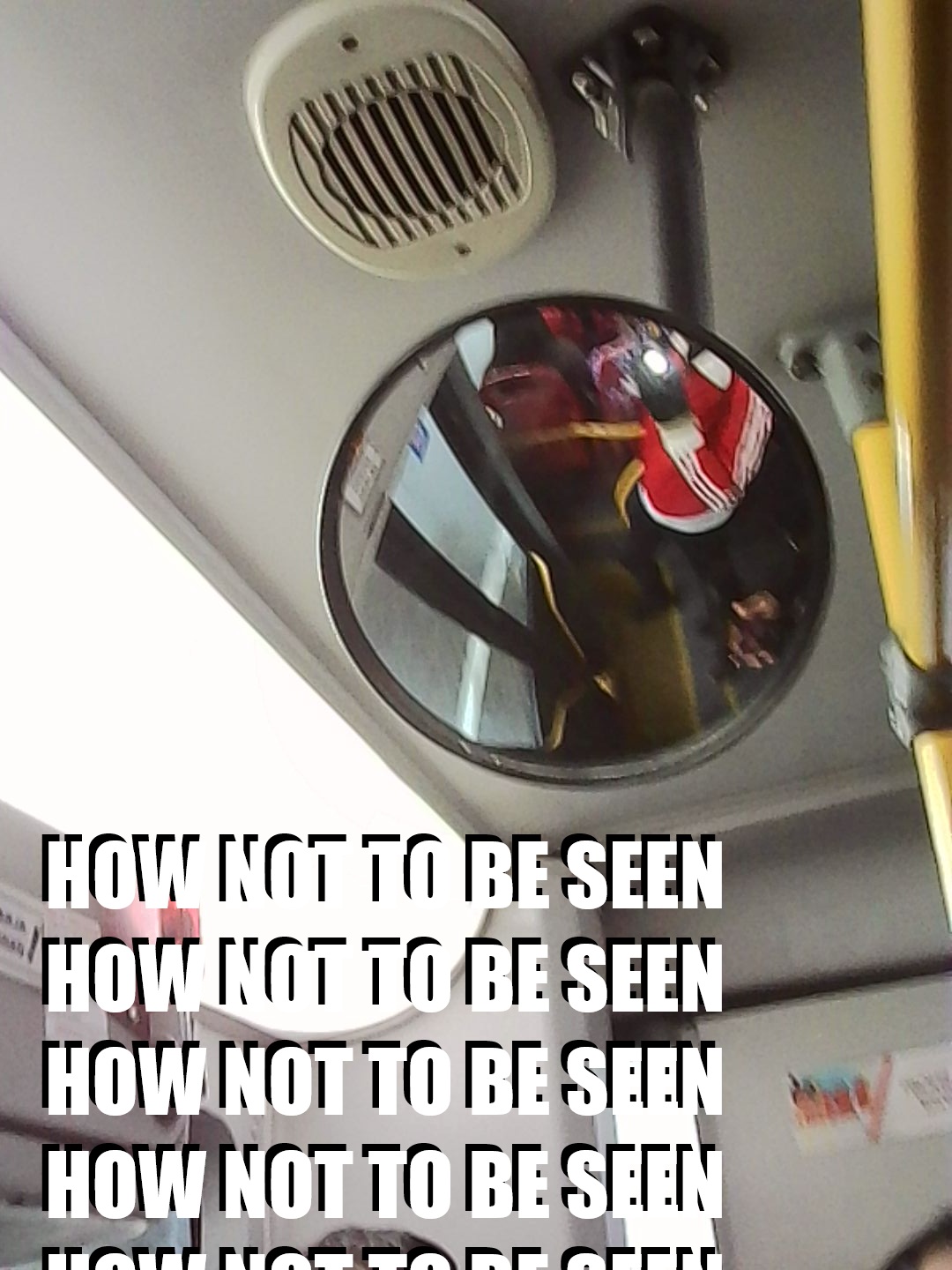 Descripción de la imagen